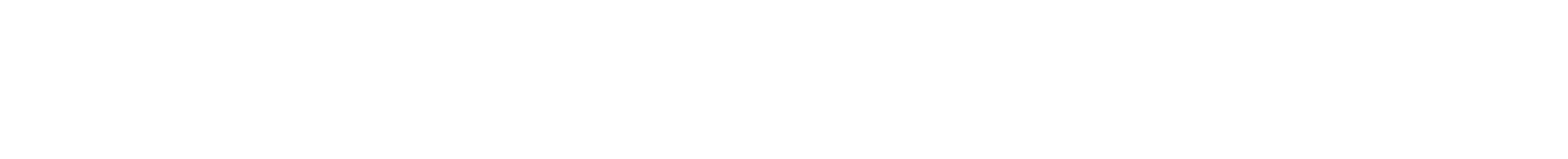 CEO Coaching and Management Process Establishment