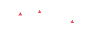 CEO Coaching and Management Process Establishment