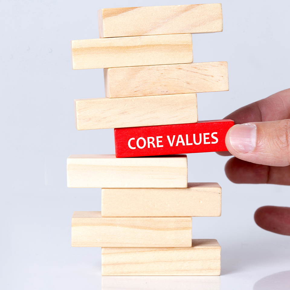 https://tapamsgroup.com/wp-content/uploads/2020/03/Core-values.jpg